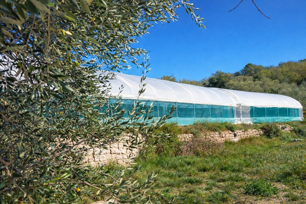 ferme spiruline cote d'azur